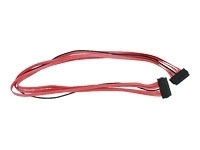 Intel MK4U 2nd SAS Cable (A9000MKSAS)